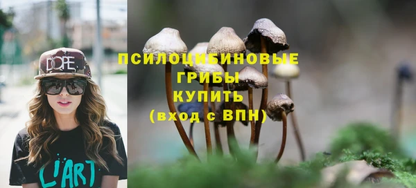 Альфа ПВП Дмитриев