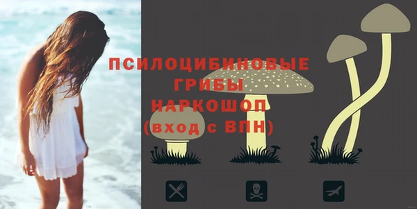 Альфа ПВП Дмитриев