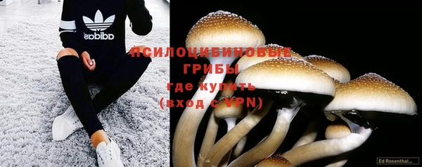 Альфа ПВП Дмитриев