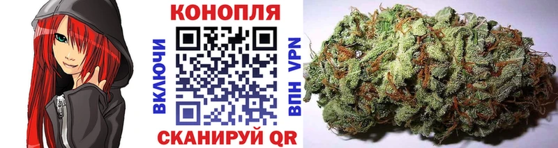 Купить закладки  Новозыбков  Марихуана MAZAR 